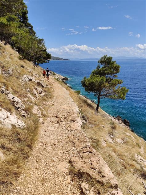 osejava forest park|12 Things To Do in Makarska, Croatia